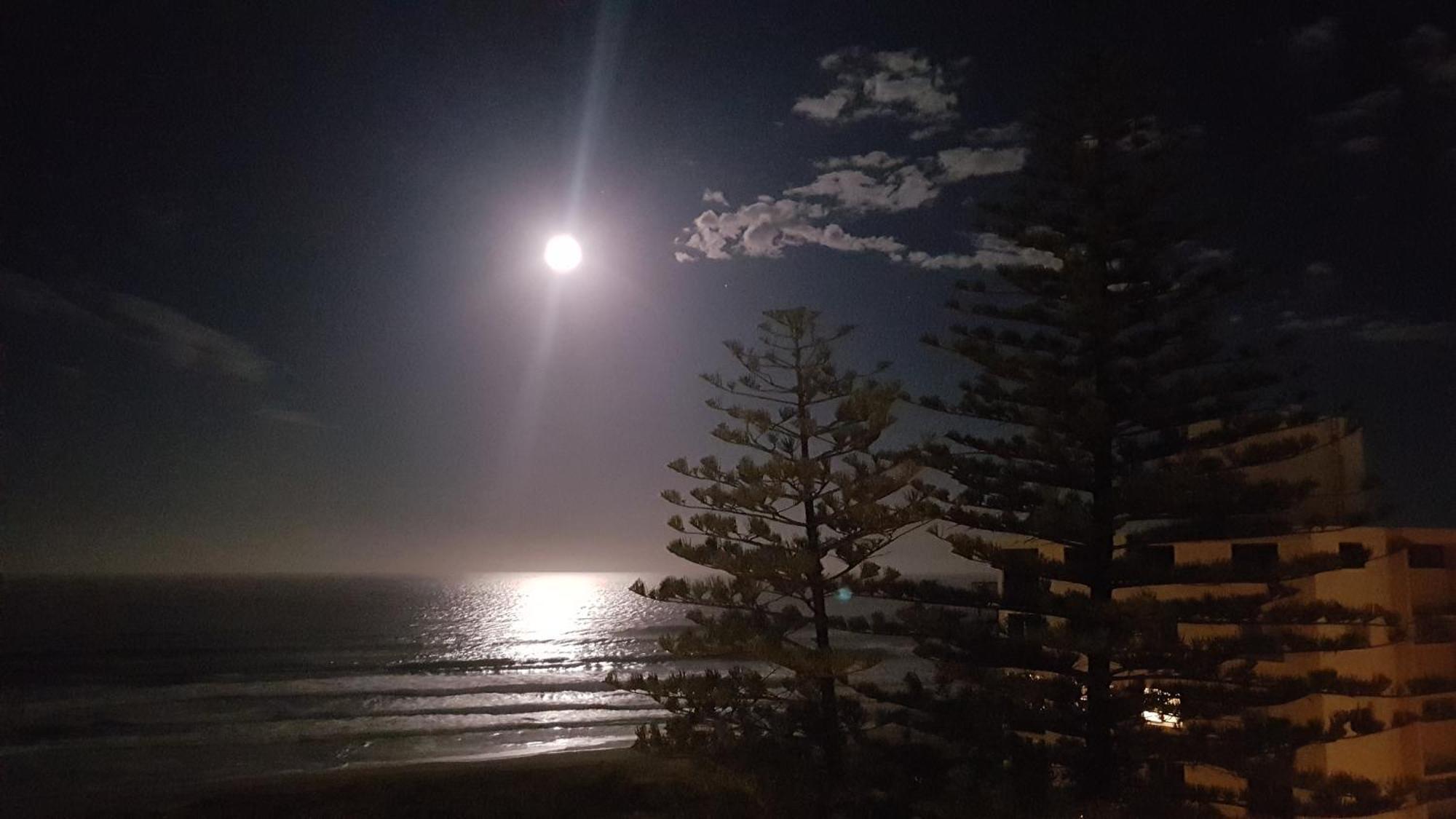 Surfers Chalet Gold Coast Exteriér fotografie